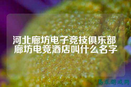 河北廊坊电子竞技俱乐部 廊坊电竞酒店叫什么名字