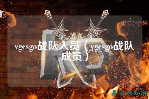 vgcsgo战队人员(vgcsgo战队成员)
