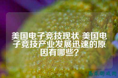 美国电子竞技现状 美国电子竞技产业发展迅速的原因有哪些？