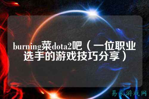 burning菜dota2吧(一位职业选手的游戏技巧分享)