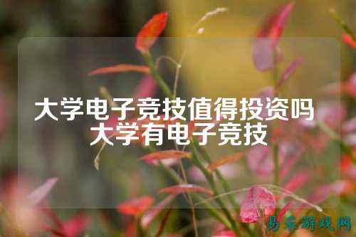 大学电子竞技值得投资吗 大学有电子竞技