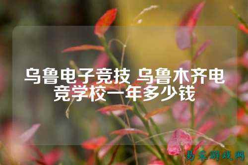 乌鲁电子竞技 乌鲁木齐电竞学校一年多少钱