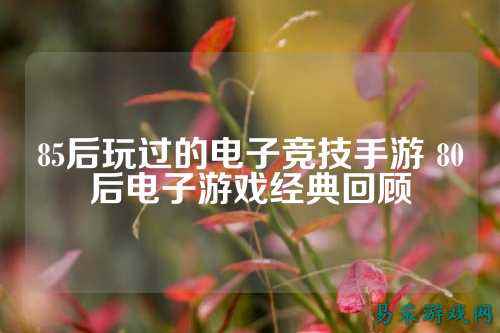 85后玩过的电子竞技手游 80后电子游戏经典回顾