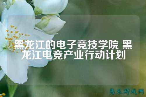黑龙江的电子竞技学院 黑龙江电竞产业行动计划