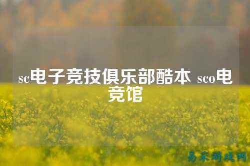 sc电子竞技俱乐部酷本 sco电竞馆