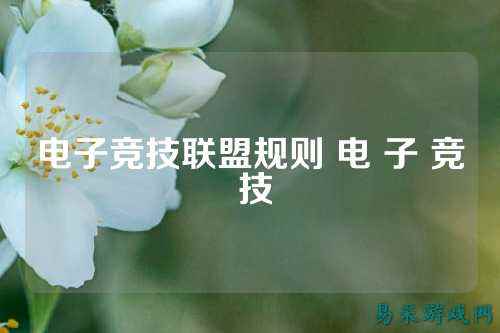 电子竞技联盟规则 电 子 竞 技