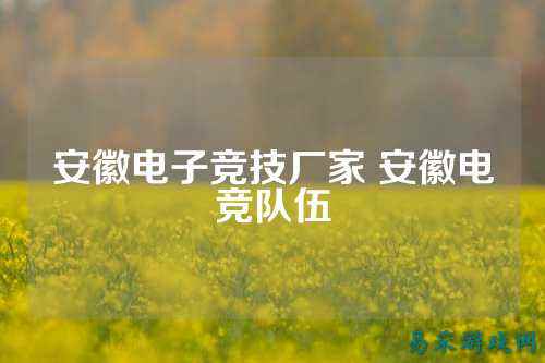 安徽电子竞技厂家 安徽电竞队伍