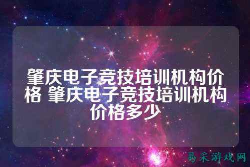 肇庆电子竞技培训机构价格 肇庆电子竞技培训机构价格多少