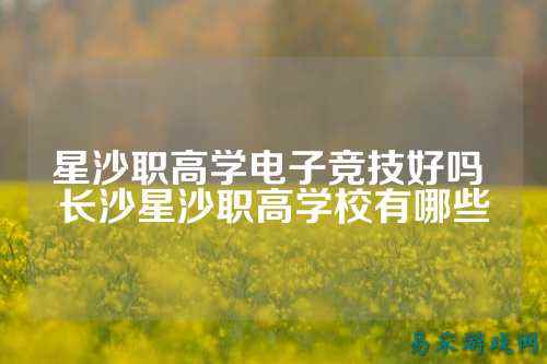 星沙职高学电子竞技好吗 长沙星沙职高学校有哪些