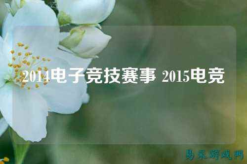 2014电子竞技赛事 2015电竞
