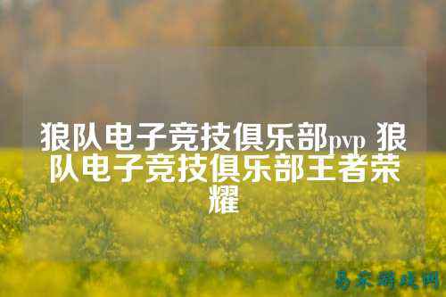 狼队电子竞技俱乐部pvp 狼队电子竞技俱乐部王者荣耀