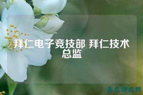 拜仁电子竞技部 拜仁技术总监