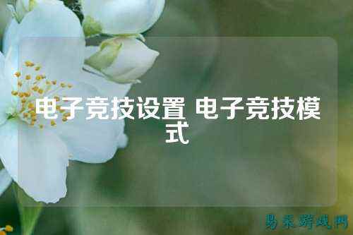 电子竞技设置 电子竞技模式
