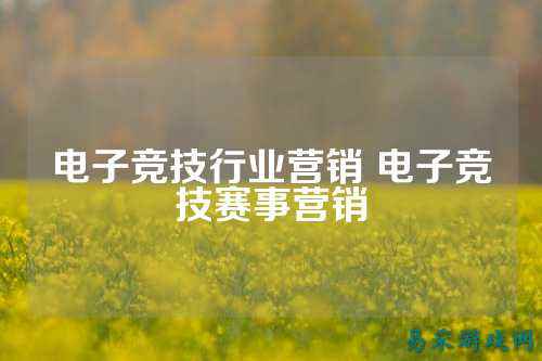 电子竞技行业营销 电子竞技赛事营销
