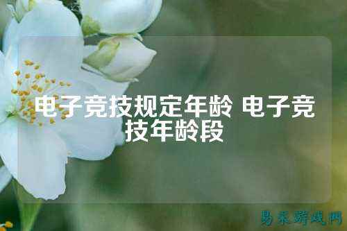 电子竞技规定年龄 电子竞技年龄段