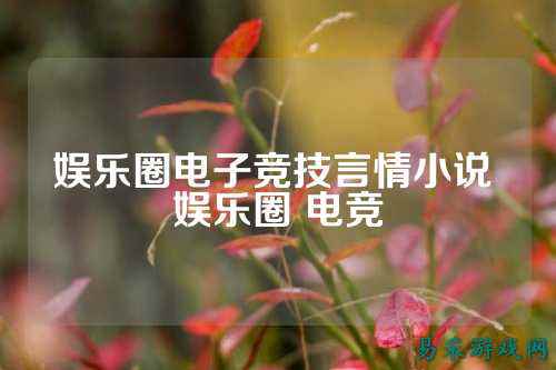 娱乐圈电子竞技言情小说 娱乐圈 电竞
