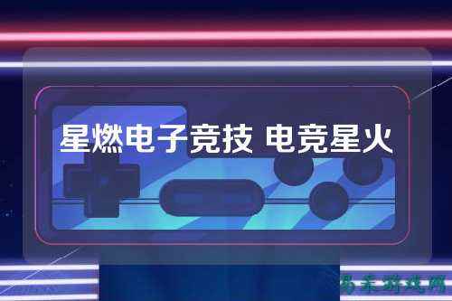 星燃电子竞技 电竞星火