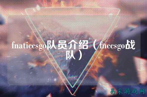 fnaticcsgo队员介绍（fnccsgo战队）