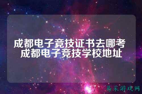 成都电子竞技证书去哪考 成都电子竞技学校地址
