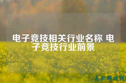 电子竞技相关行业名称 电子竞技行业前景