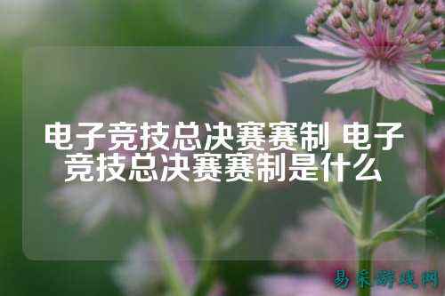电子竞技总决赛赛制 电子竞技总决赛赛制是什么