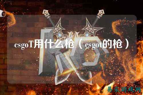 csgoT用什么枪（csgot的枪）