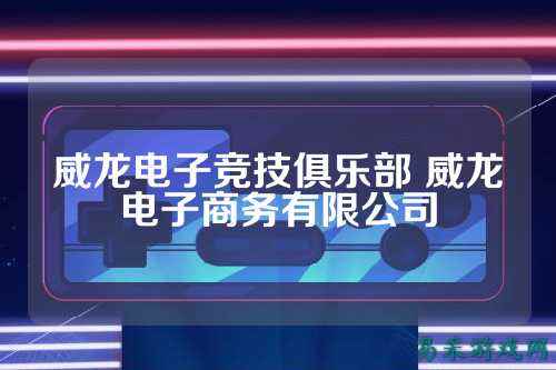 威龙电子竞技俱乐部 威龙电子商务有限公司