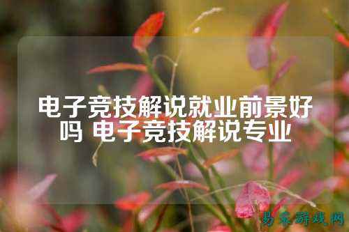 电子竞技解说就业前景好吗 电子竞技解说专业