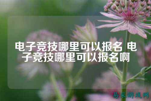 电子竞技哪里可以报名 电子竞技哪里可以报名啊