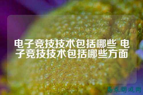 电子竞技技术包括哪些 电子竞技技术包括哪些方面