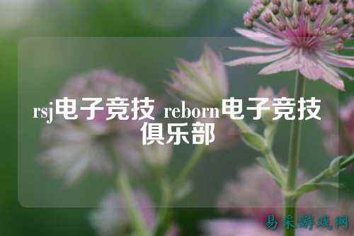 rsj电子竞技 reborn电子竞技俱乐部