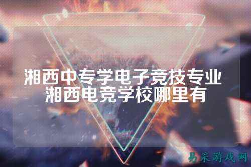 湘西中专学电子竞技专业 湘西电竞学校哪里有