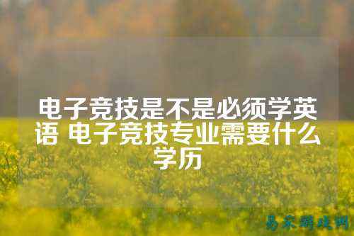 电子竞技是不是必须学英语 电子竞技专业需要什么学历
