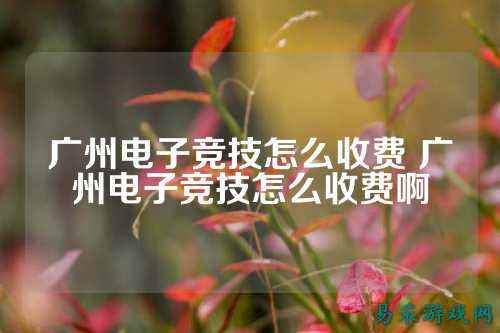 广州电子竞技怎么收费 广州电子竞技怎么收费啊