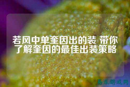 若风中单奎因出的装 带你了解奎因的最佳出装策略