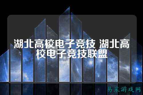 湖北高校电子竞技 湖北高校电子竞技联盟