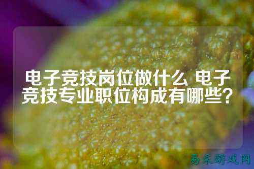 电子竞技岗位做什么 电子竞技专业职位构成有哪些？