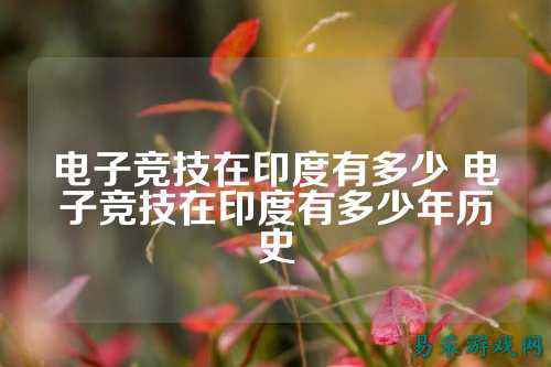 电子竞技在印度有多少 电子竞技在印度有多少年历史