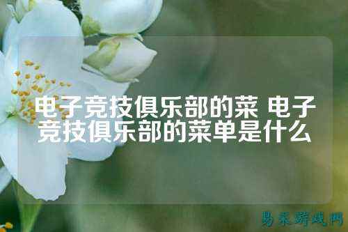 电子竞技俱乐部的菜 电子竞技俱乐部的菜单是什么