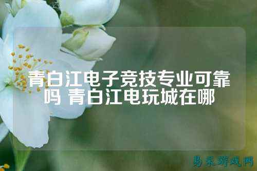 青白江电子竞技专业可靠吗 青白江电玩城在哪