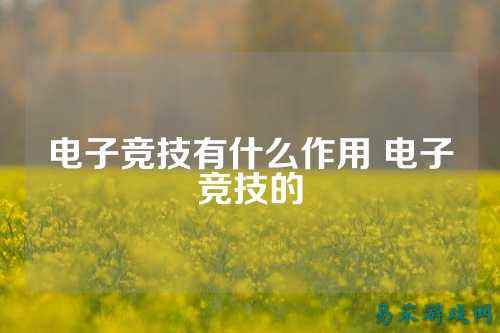 电子竞技有什么作用 电子竞技的