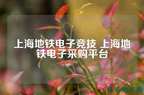 上海地铁电子竞技 上海地铁电子采购平台