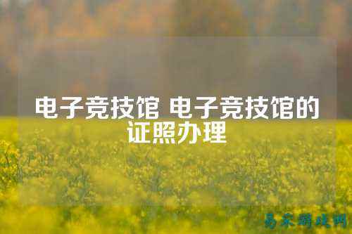 电子竞技馆 电子竞技馆的证照办理