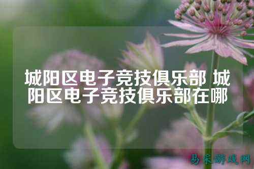 城阳区电子竞技俱乐部 城阳区电子竞技俱乐部在哪