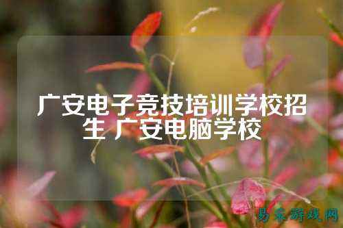 广安电子竞技培训学校招生 广安电脑学校