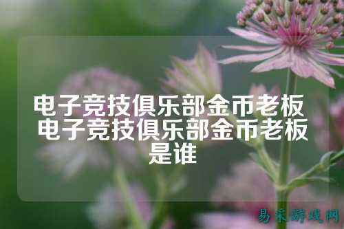 电子竞技俱乐部金币老板 电子竞技俱乐部金币老板是谁