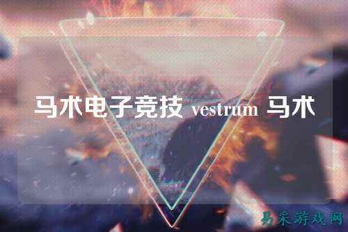 马术电子竞技 vestrum 马术
