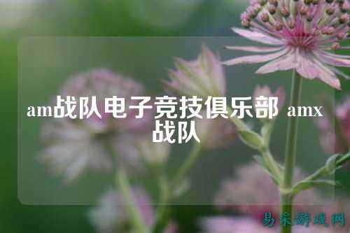 am战队电子竞技俱乐部 amx战队