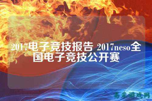 2017电子竞技报告 2017neso全国电子竞技公开赛