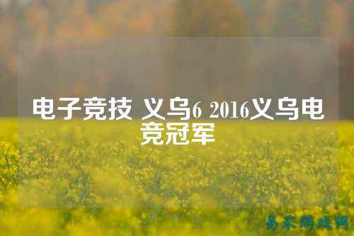 电子竞技 义乌6 2016义乌电竞冠军